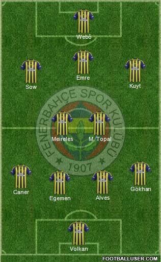 Fenerbahçe SK Formation 2013