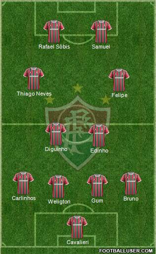 Fluminense FC Formation 2013