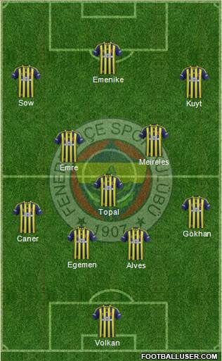 Fenerbahçe SK Formation 2013