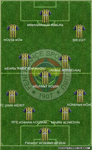 Fenerbahçe SK Formation 2013