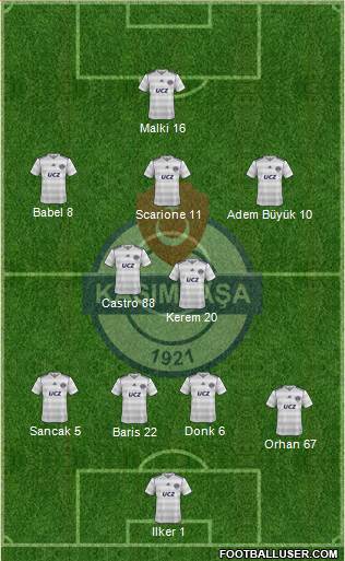Kasimpasa Formation 2013