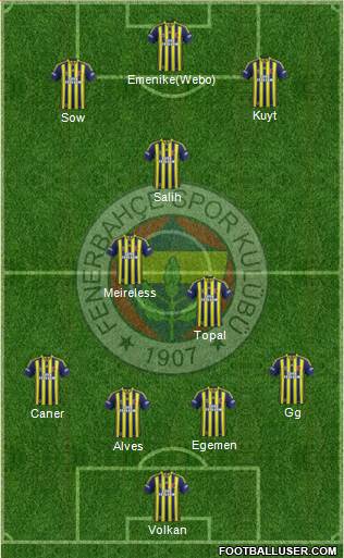 Fenerbahçe SK Formation 2013