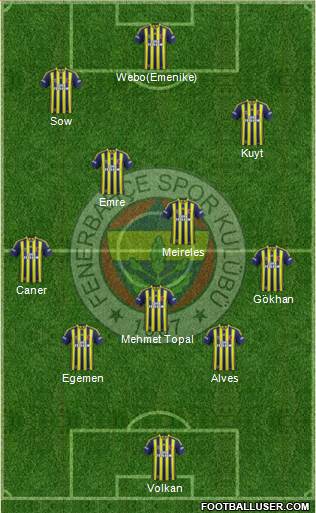Fenerbahçe SK Formation 2013
