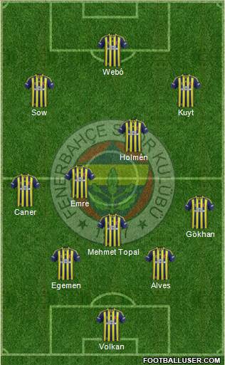 Fenerbahçe SK Formation 2013