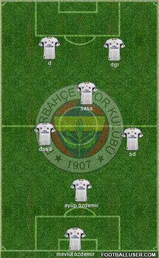 Fenerbahçe SK Formation 2013