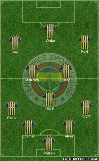Fenerbahçe SK Formation 2013