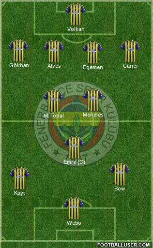 Fenerbahçe SK Formation 2013