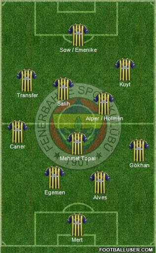 Fenerbahçe SK Formation 2013