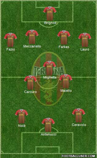 Ternana Formation 2013
