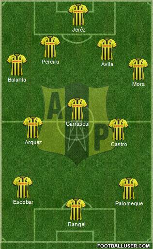 Alianza Petrolera AS Formation 2013