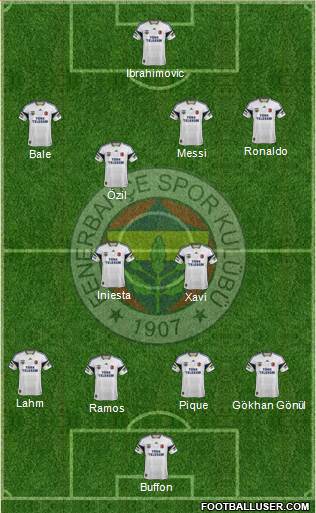 Fenerbahçe SK Formation 2013