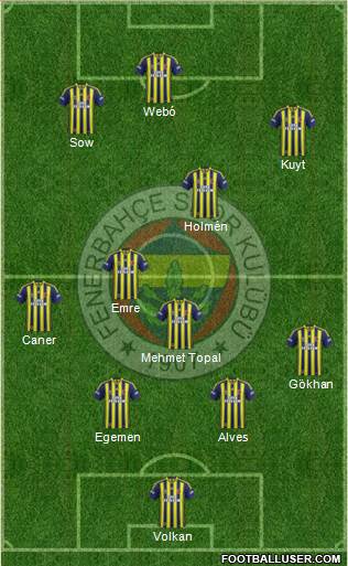 Fenerbahçe SK Formation 2013