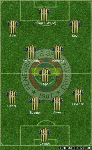 Fenerbahçe SK Formation 2013