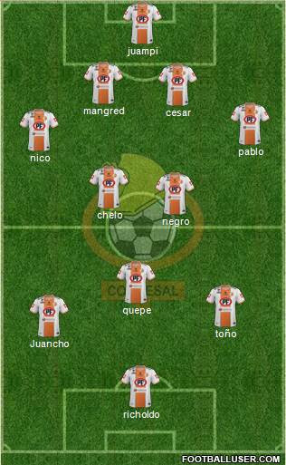 CD Cobresal Formation 2013