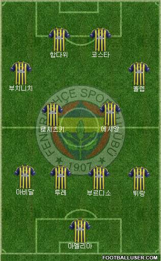 Fenerbahçe SK Formation 2013
