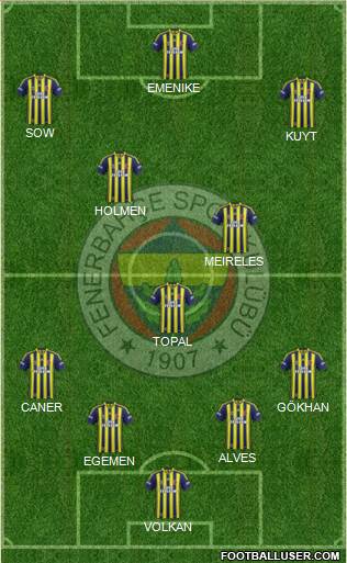 Fenerbahçe SK Formation 2013
