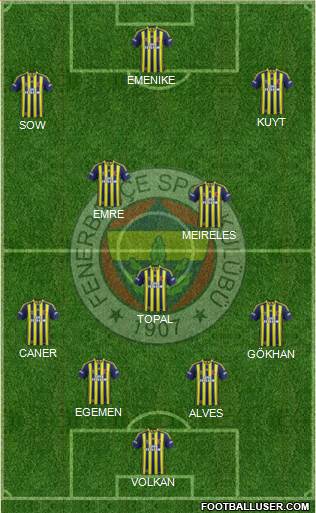Fenerbahçe SK Formation 2013
