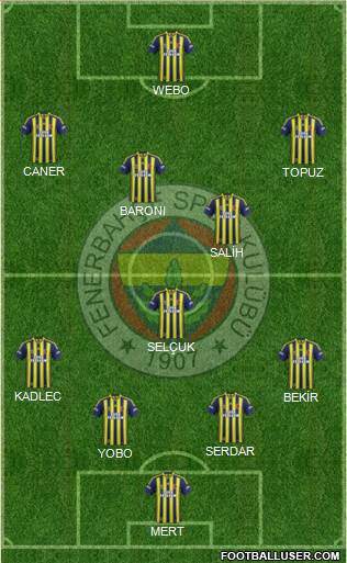 Fenerbahçe SK Formation 2013