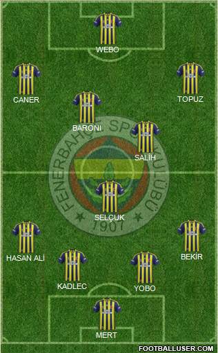 Fenerbahçe SK Formation 2013