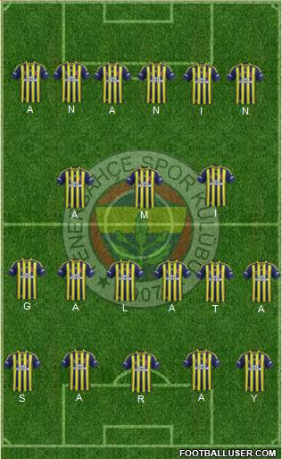 Fenerbahçe SK Formation 2013