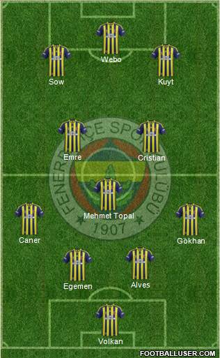 Fenerbahçe SK Formation 2013