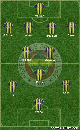 Fenerbahçe SK Formation 2013