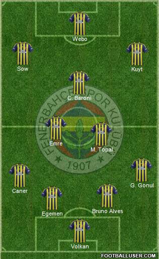Fenerbahçe SK Formation 2013