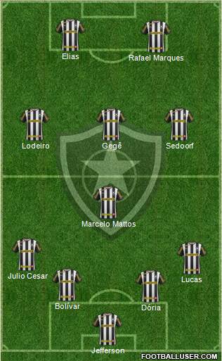 Botafogo FR Formation 2013