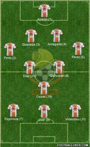 CD Cobresal Formation 2013