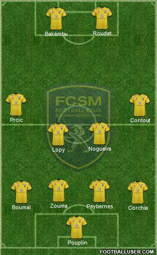 FC Sochaux-Montbéliard Formation 2013