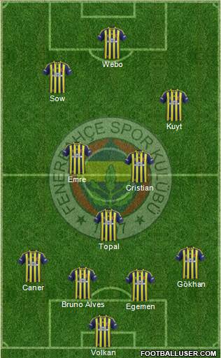 Fenerbahçe SK Formation 2013