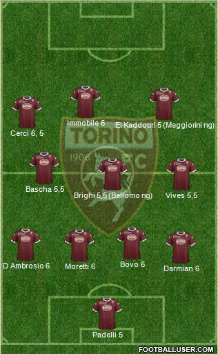 Torino Formation 2013