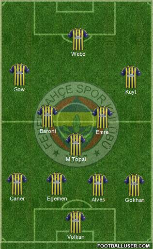 Fenerbahçe SK Formation 2013
