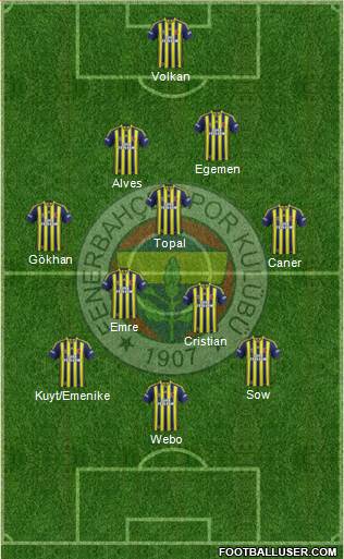 Fenerbahçe SK Formation 2013