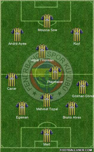 Fenerbahçe SK Formation 2013