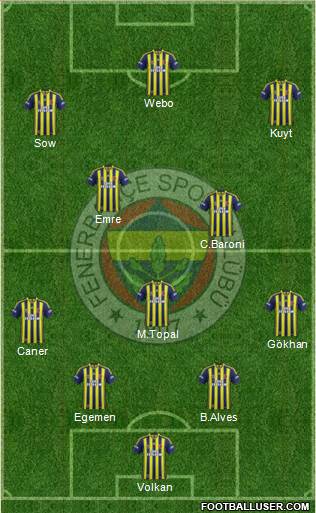 Fenerbahçe SK Formation 2013