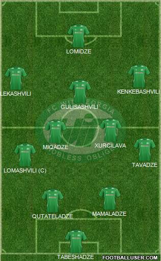 WIT-Georgia Tbilisi Formation 2013
