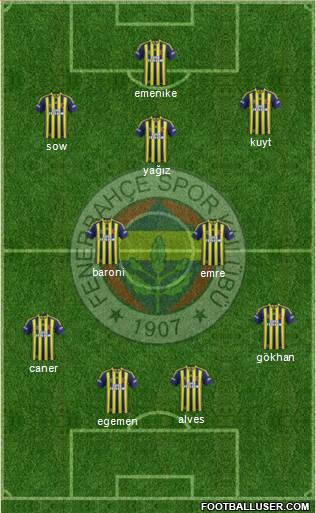 Fenerbahçe SK Formation 2013