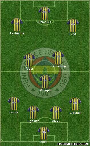 Fenerbahçe SK Formation 2013