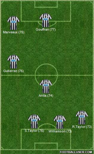 Newcastle United Formation 2013