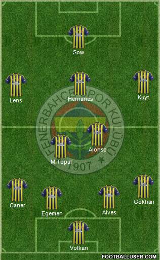 Fenerbahçe SK Formation 2013