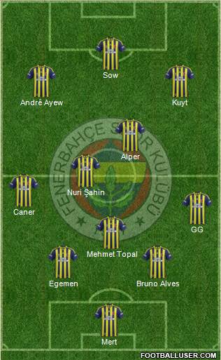 Fenerbahçe SK Formation 2013