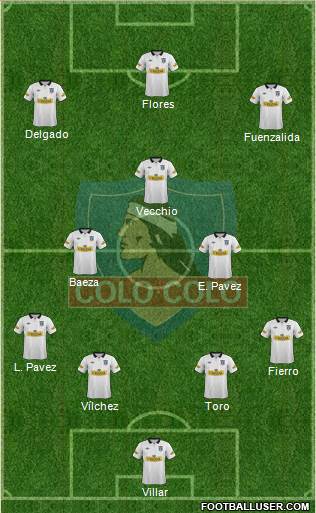 CSD Colo Colo Formation 2013