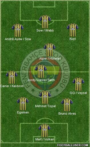 Fenerbahçe SK Formation 2013
