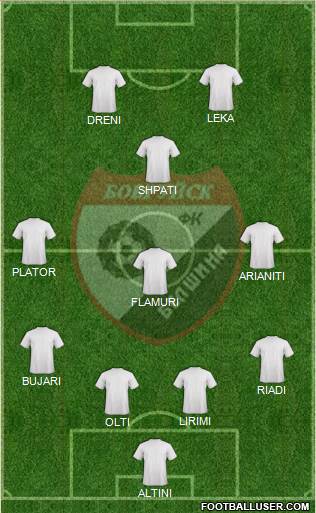 Belshina Bobruisk football formation