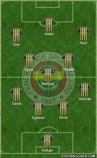 Fenerbahçe SK Formation 2013