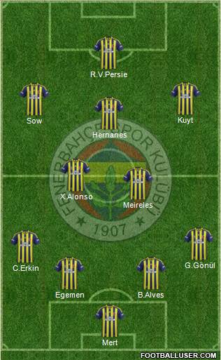 Fenerbahçe SK Formation 2013