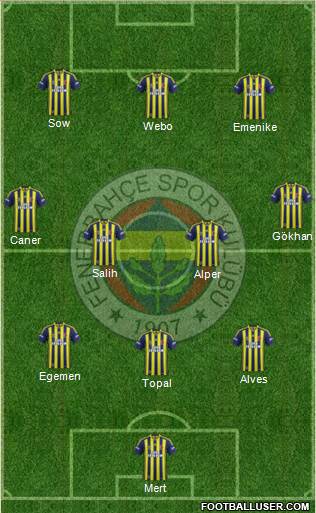 Fenerbahçe SK Formation 2013