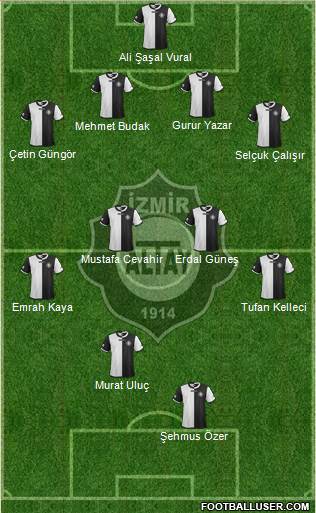 Altay Formation 2013