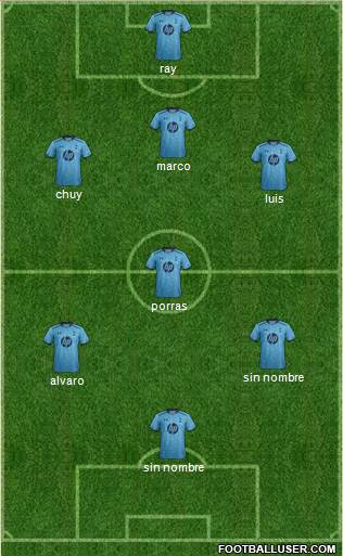 Tottenham Hotspur Formation 2013
